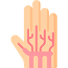 تیروئید